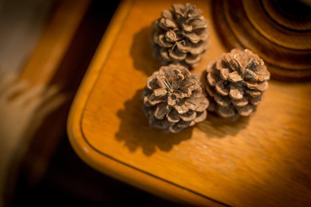 Lipowy Dwor Hotel ซาโกปาเน ภายนอก รูปภาพ